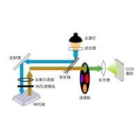 什么是熒光定量PCR、數(shù)字PCR？