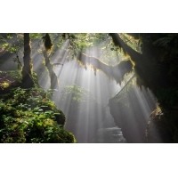 光的干涉、衍射、折射、反射、散射